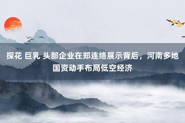 探花 巨乳 头部企业在郑连络展示背后，河南多地国资动手布局低空经济