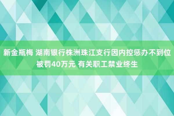 新金瓶梅 湖南银行株洲珠江支行因内控惩办不到位被罚40万元 有关职工禁业终生