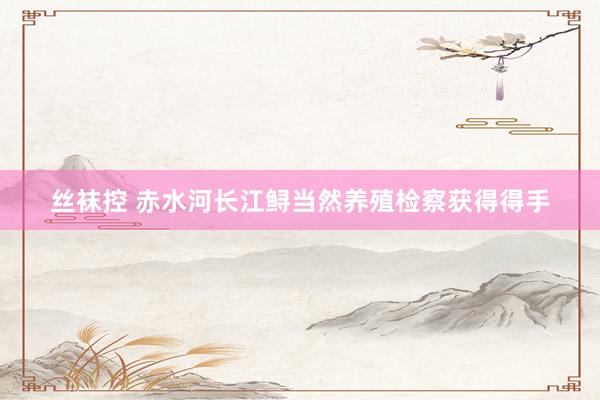 丝袜控 赤水河长江鲟当然养殖检察获得得手