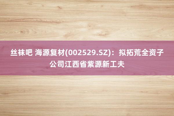 丝袜吧 海源复材(002529.SZ)：拟拓荒全资子公司江西省紫源新工夫