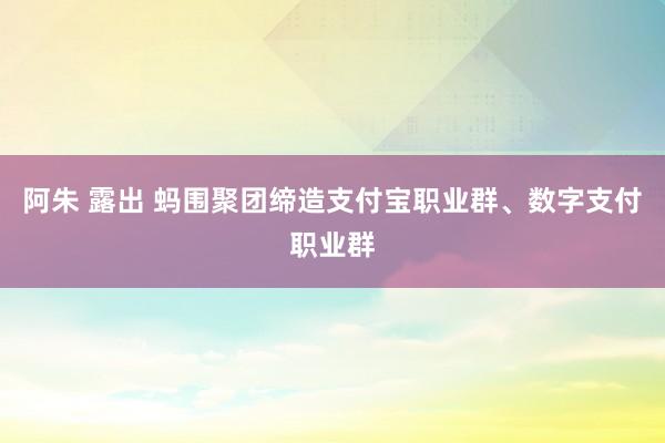 阿朱 露出 蚂围聚团缔造支付宝职业群、数字支付职业群