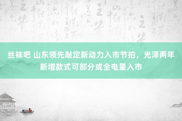 丝袜吧 山东领先敲定新动力入市节拍，光泽两年新增款式可部分或全电量入市