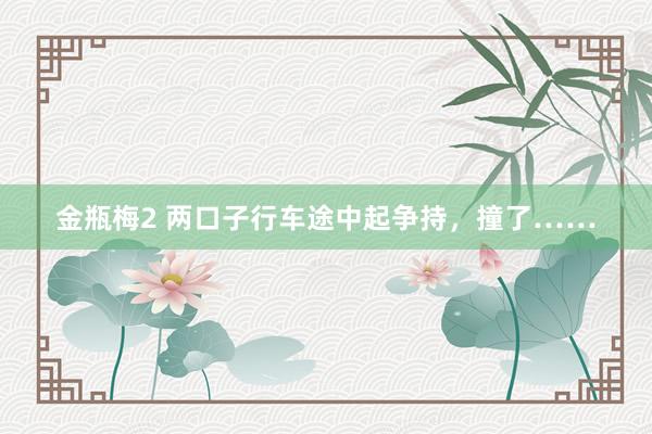 金瓶梅2 两口子行车途中起争持，撞了……