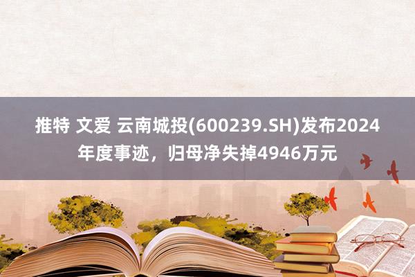 推特 文爱 云南城投(600239.SH)发布2024年度事迹，归母净失掉4946万元