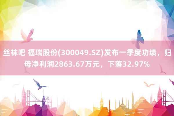 丝袜吧 福瑞股份(300049.SZ)发布一季度功绩，归母净利润2863.67万元，下落32.97%