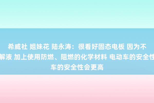 希威社 姐妹花 陆永涛：很看好固态电板 因为不需要电解液 加上使用防燃、阻燃的化学材料 电动车的安全性会更高