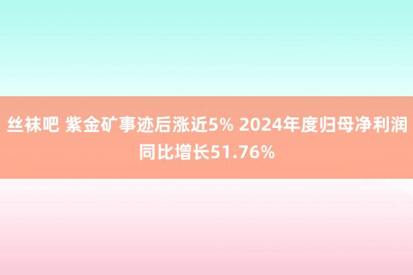 丝袜吧 紫金矿事迹后涨近5% 2024年度归母净利润同比增长51.76%
