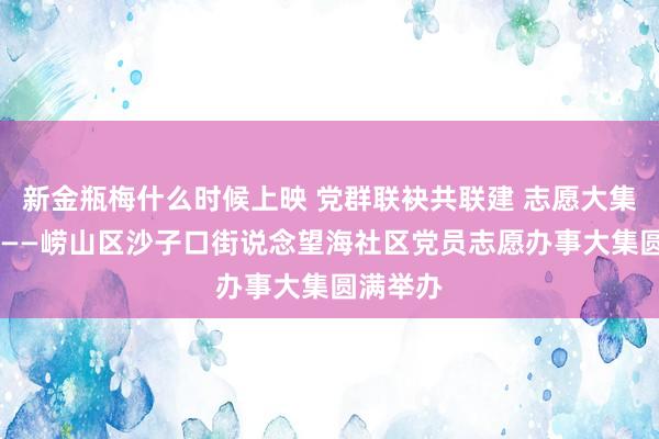 新金瓶梅什么时候上映 党群联袂共联建 志愿大集践初心 ——崂山区沙子口街说念望海社区党员志愿办事大集圆满举办